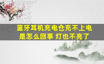 蓝牙耳机充电仓充不上电是怎么回事 灯也不亮了